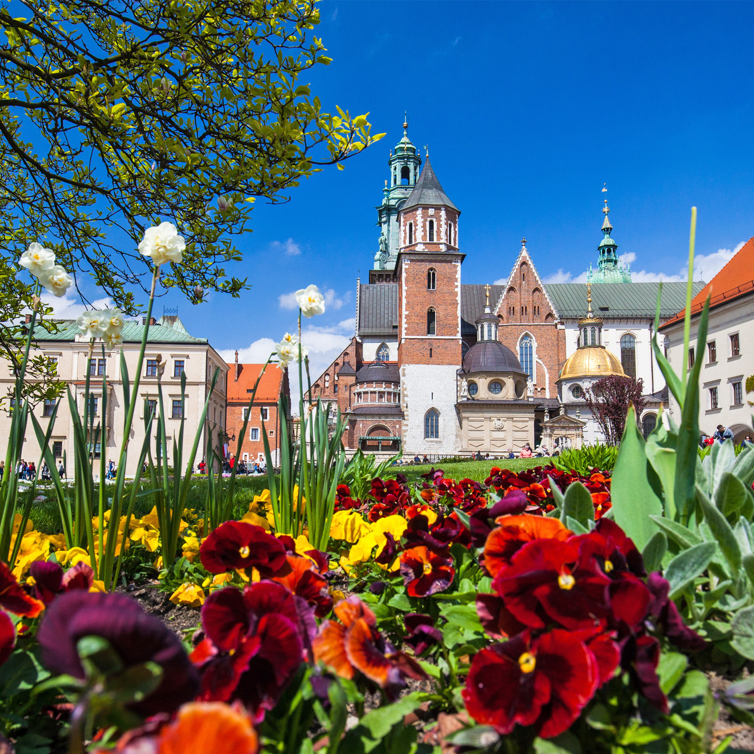 Lausitzer Pflanzendoktor